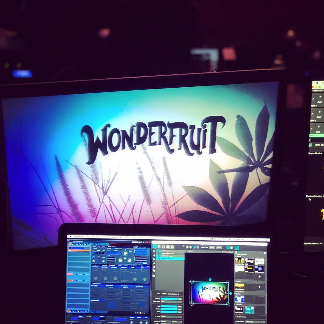 Wonderfruit 2018, view 3