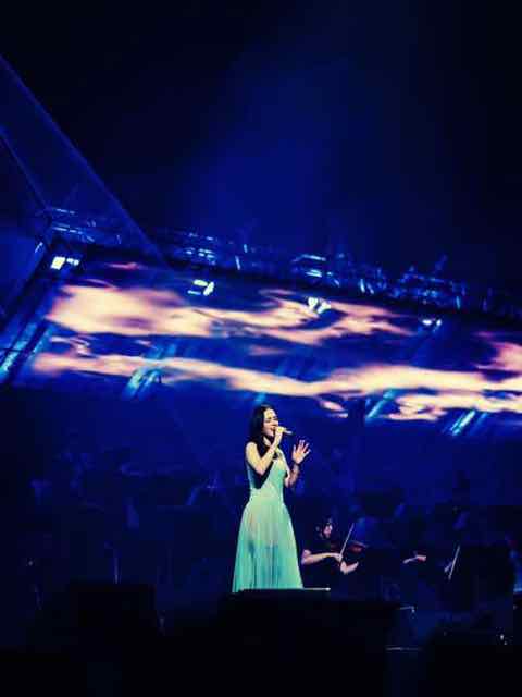 The Legend All-Stars Orchestra Concert, view 5