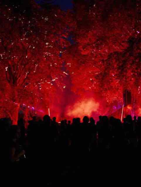 Beatforest 2026, view 2