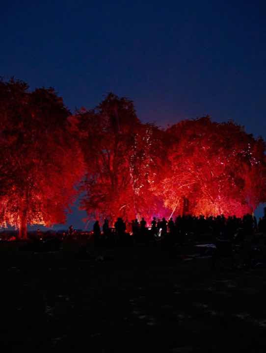 Beatforest 2026, view 3