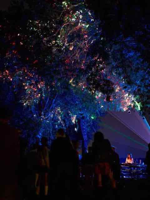 Beatforest 2026, view 4