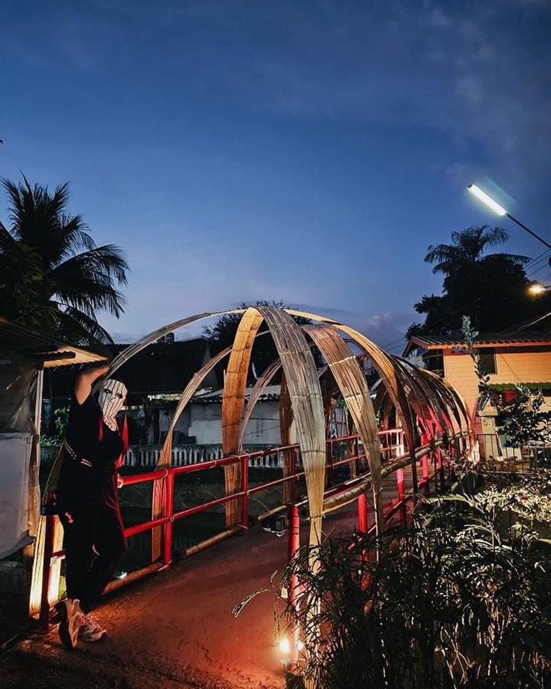 The Connection Bridge, view 1